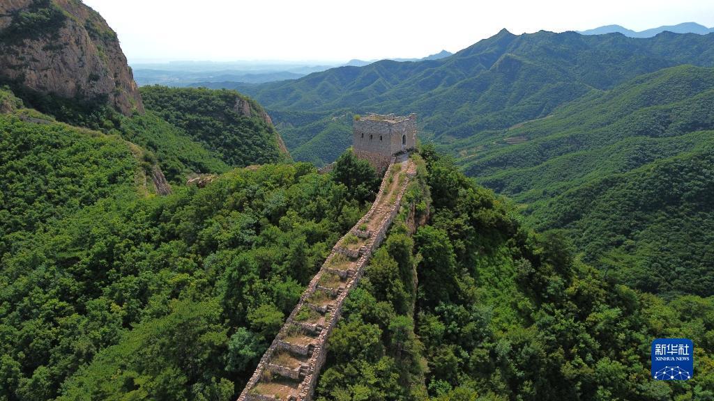 海外的捕鱼游戏市场